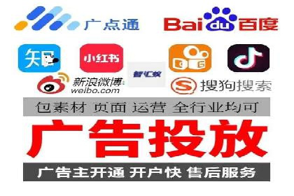 行业领先SEM托管代运营案例